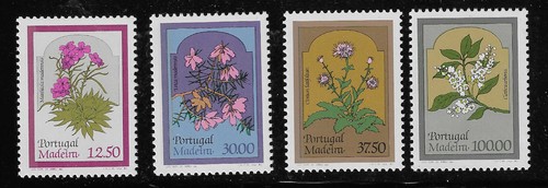Portugal madeira blumen - portugal, 4